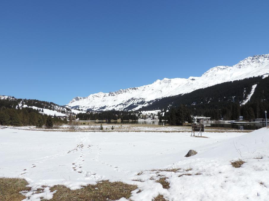 Las Bargias 8 Lenzerheide/Lai Exterior foto